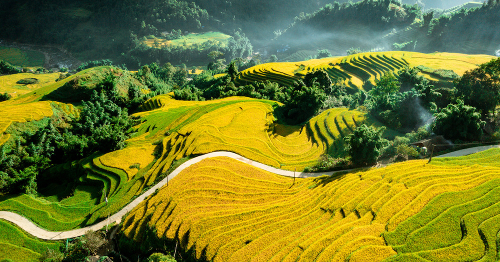 đi du lịch sapa 