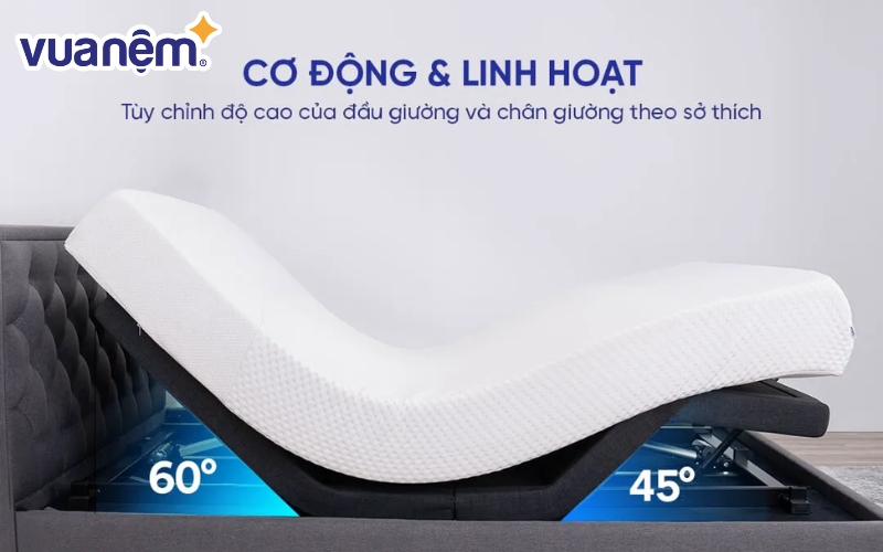 Giường điện đang trở thành giải pháp chăm sóc toàn diện nhờ khả năng tối ưu cả sức khỏe người bệnh và công sức người chăm sóc