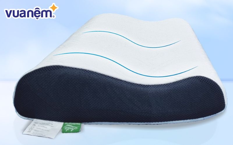 Review gối công thái học Anita Icool