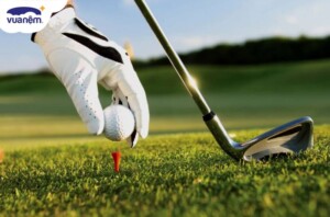 Golf là gì? Những thuật ngữ chơi golf cho người mới tập chơi