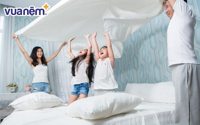Nệm cao su mousse ép Venus gấp - Vải cotton được yêu thích nhất