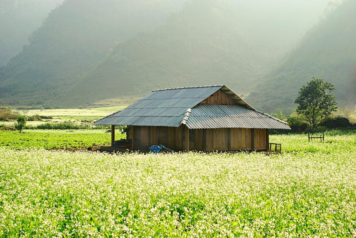 những địa điểm du lịch của mộc châu