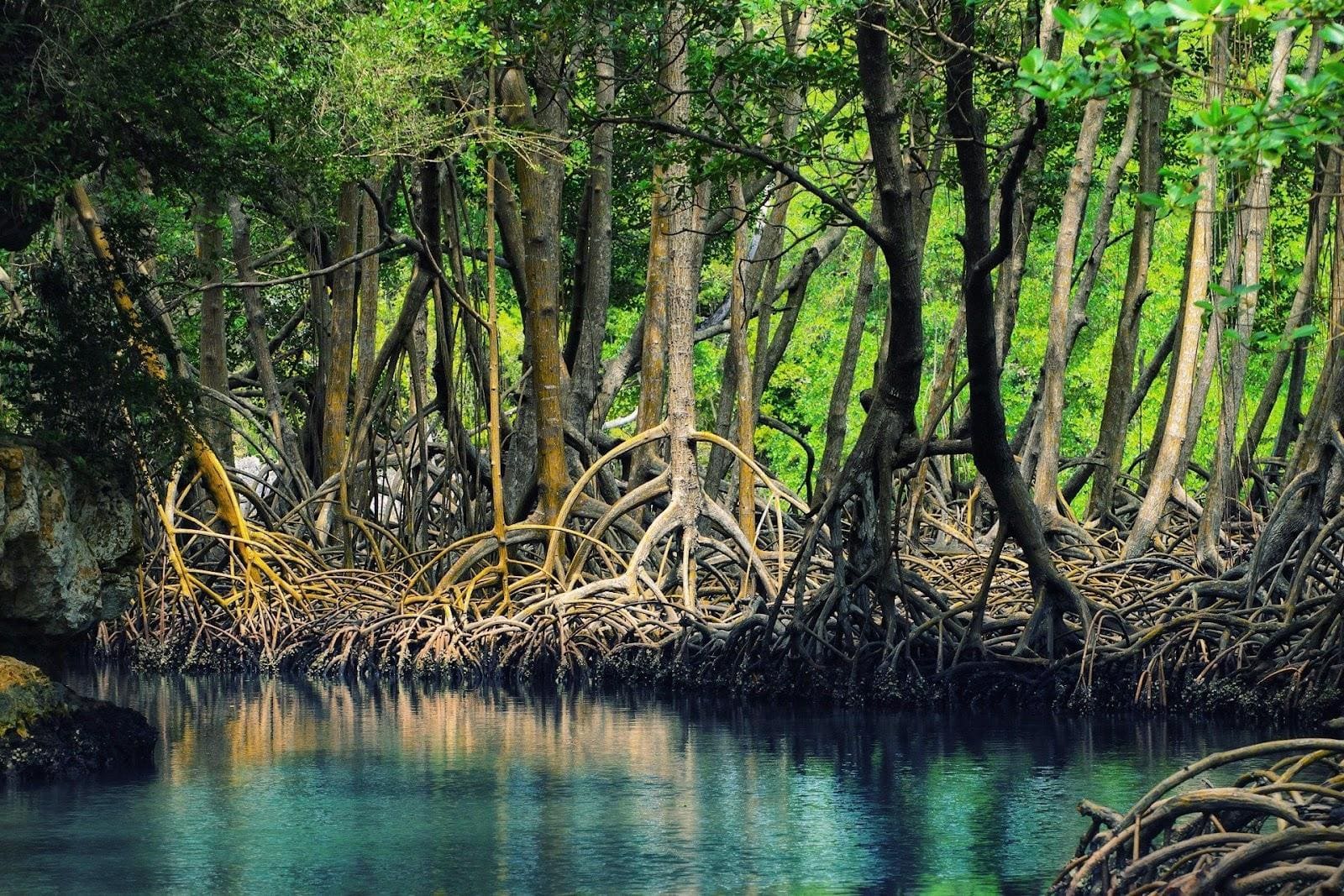 những địa điểm du lịch ở trà vinh