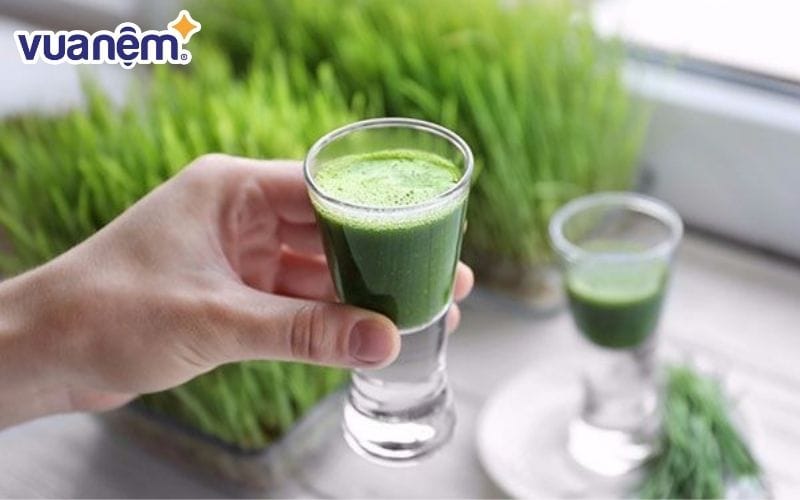 Nước ép cỏ lúa mạch giàu vitamin, dưỡng chất, khoáng chất thiết yếu