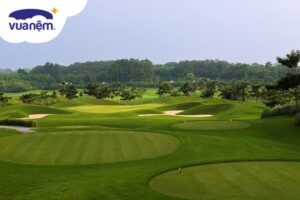 Sân golf Đầm Vạc ở đâu? Bảng giá đặt sân cập nhật mới nhất 