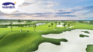 Bảng giá sân Golf Đồ Sơn mới nhất, được cập nhật chi tiết nhất