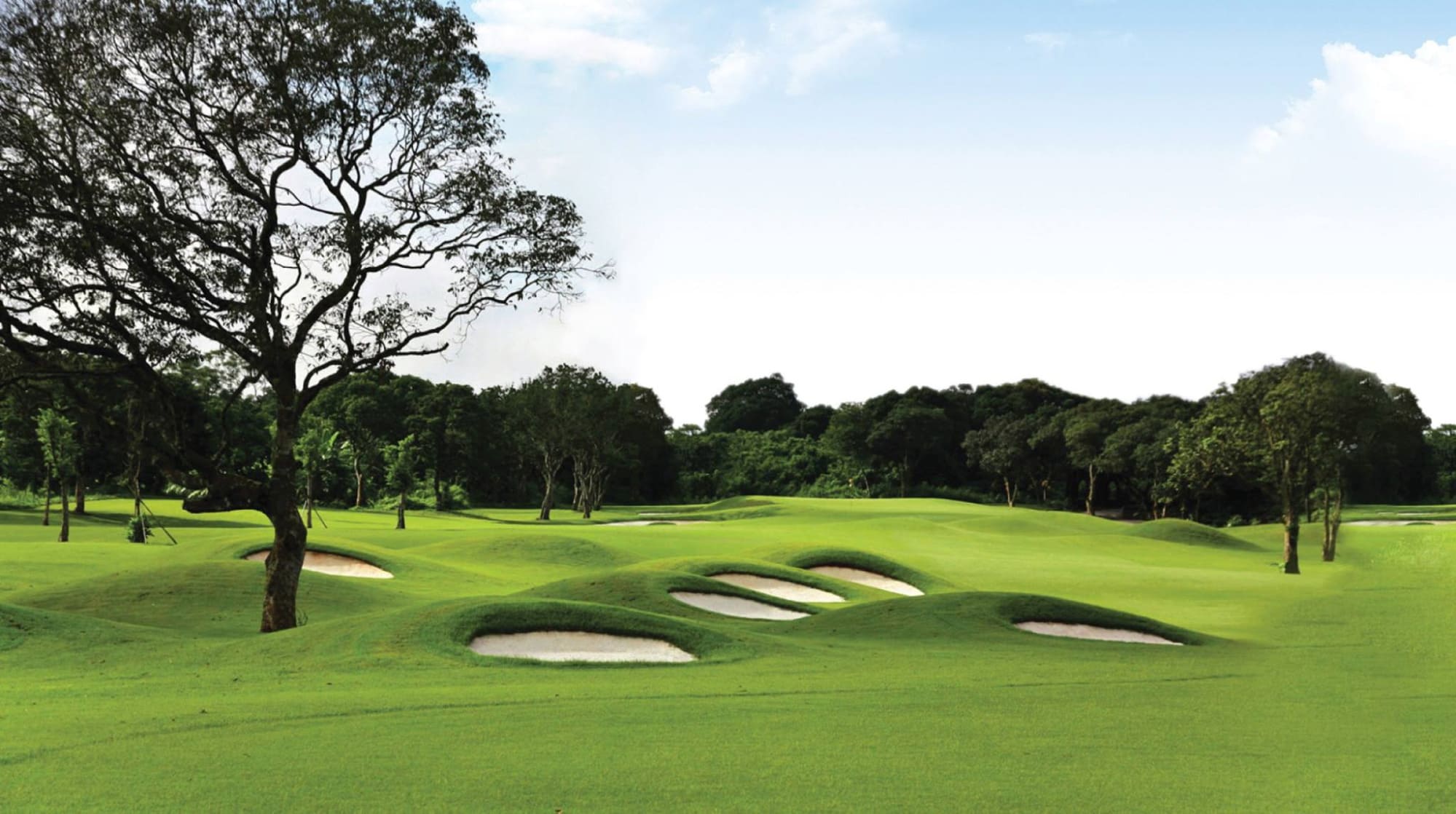 Top 14 sân golf miền Nam chất lượng nhất, đẹp và được nhiều người yêu ...