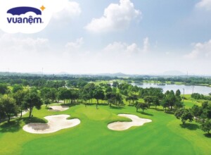 Sân golf Tam Đảo ở đâu? Bảng giá sân golf Tam Đảo mới nhất hiện nay