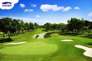 Top các sân golf Vũng Tàu cao cấp cho giới thượng lưu khi du lịch Vũng Tàu