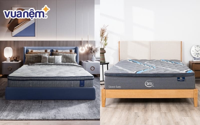 So sánh nệm KingKoil và nệm Serta chi tiết