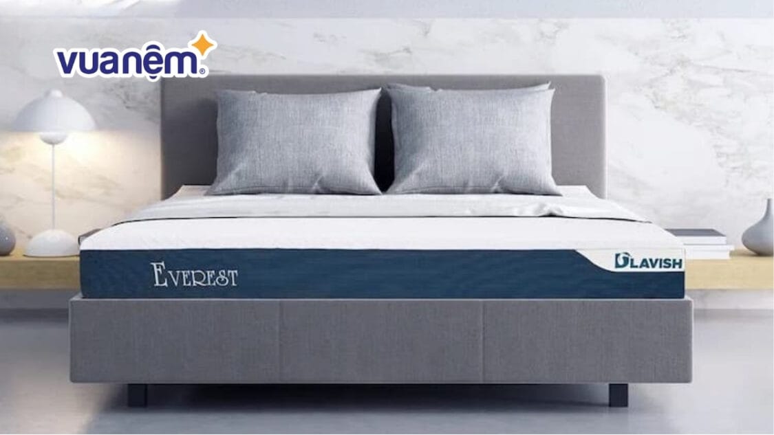 Nệm foam D’lavish
