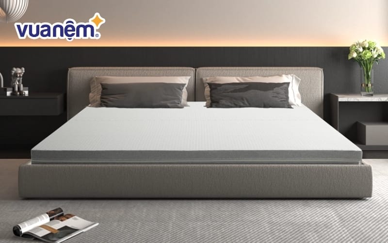 Nệm Foam D’lavish Chống Thoái Hóa Cột Sống