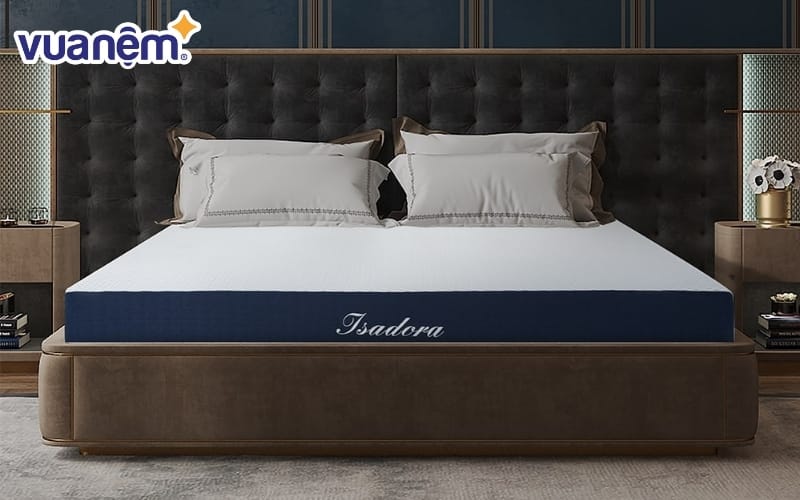 Nệm foam D'lavish Isadora Plus 3 tấm