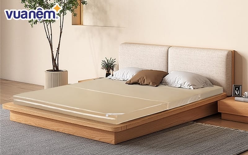 Nệm foam D’lavish có khả năng nâng đỡ cơ thể hiệu quả