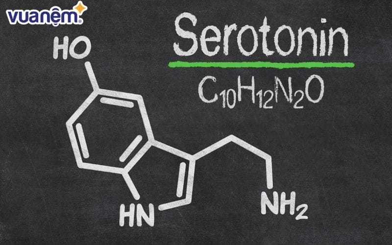 Serotonin là một chất dẫn truyền thần kinh trong cơ thể