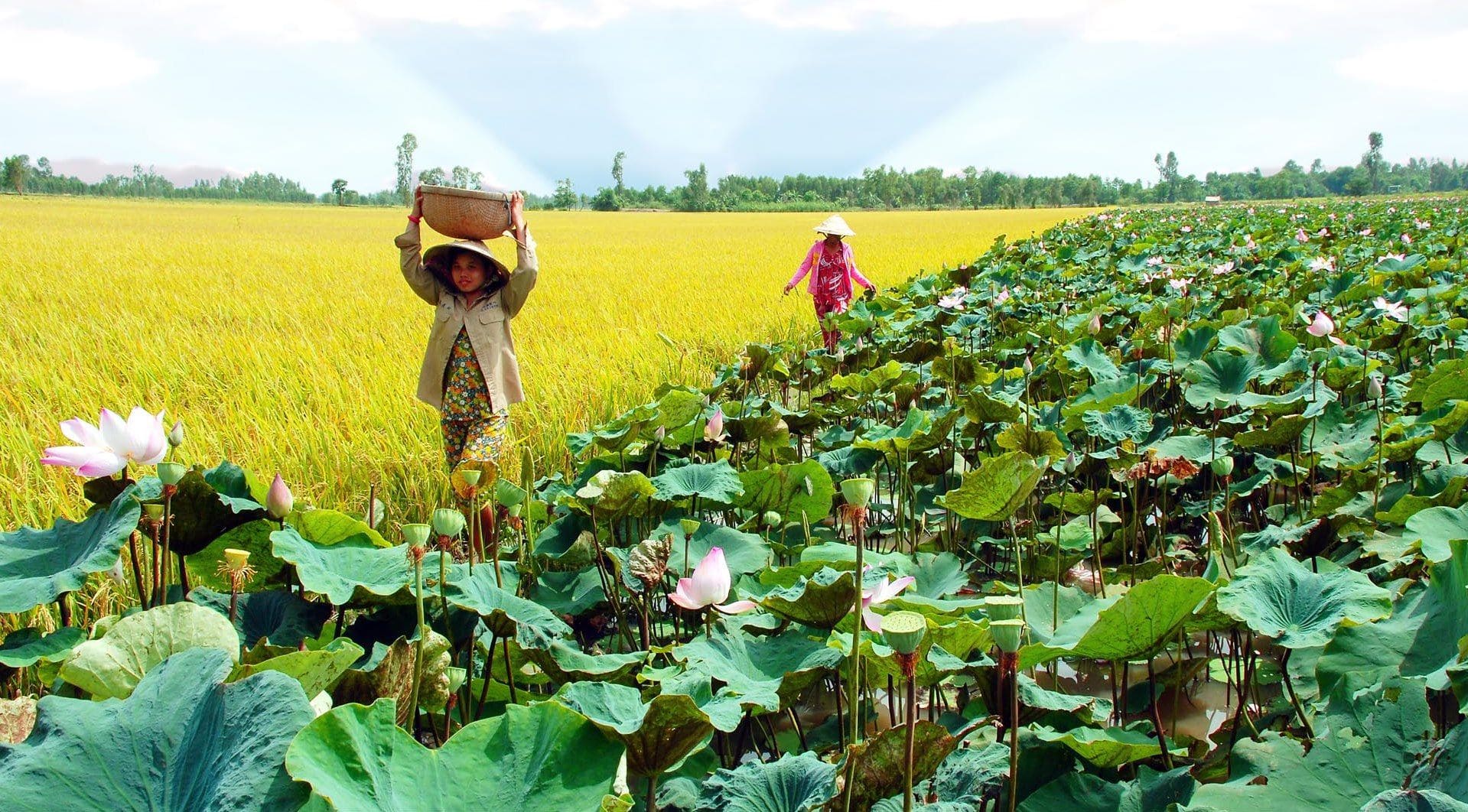 các địa điểm du lịch vào tháng 1