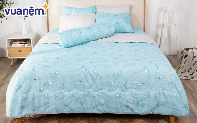 Bộ Ga chun AMD Erica tencel màu M33