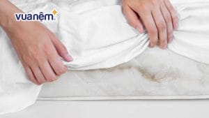 10+ Cách xử lý chăn ga gối nệm mốc đơn giản mà cực hiệu quả
