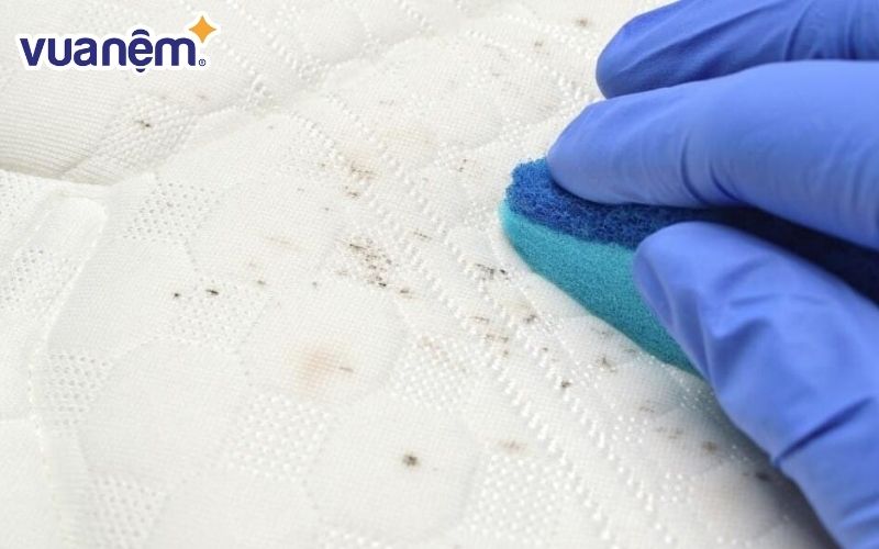 Loại bỏ vết nấm mốc trên chăn ga gối nệm bằng Chlorine dioxide hiệu quả nhưng cần cẩn thận