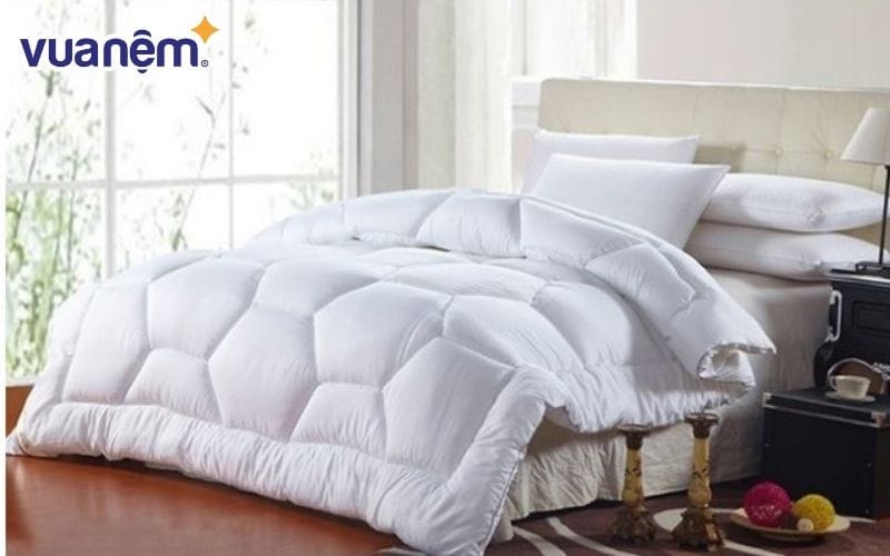 Chăn lông vũ gồm những gì?