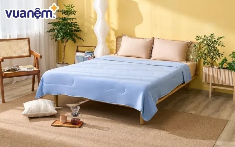 Chăn Amando Ice Silk