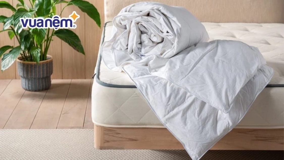 Chăn lông vũ có nóng không? Lưu ý khi chọn mua và sử dụng