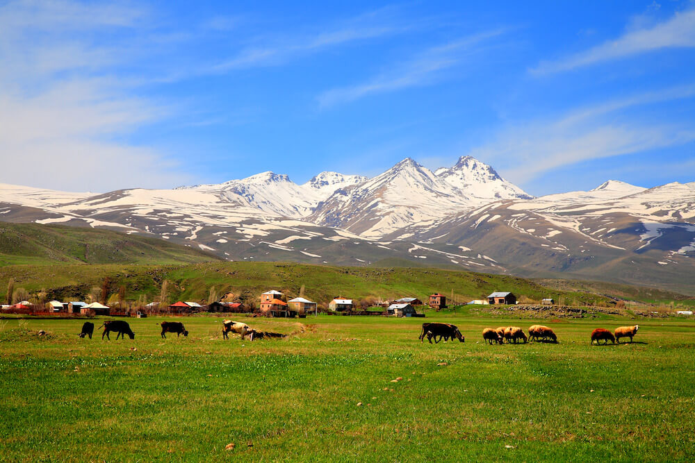 Khung cảnh phía chân dãy núi Aragats