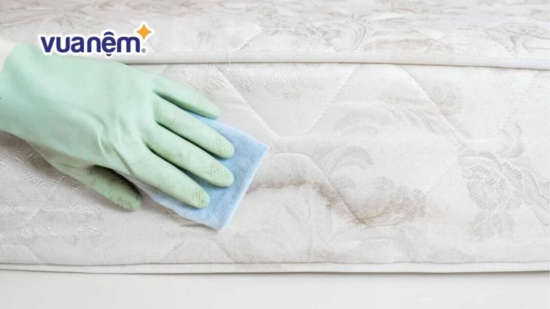 đệm bông ép bị mốc