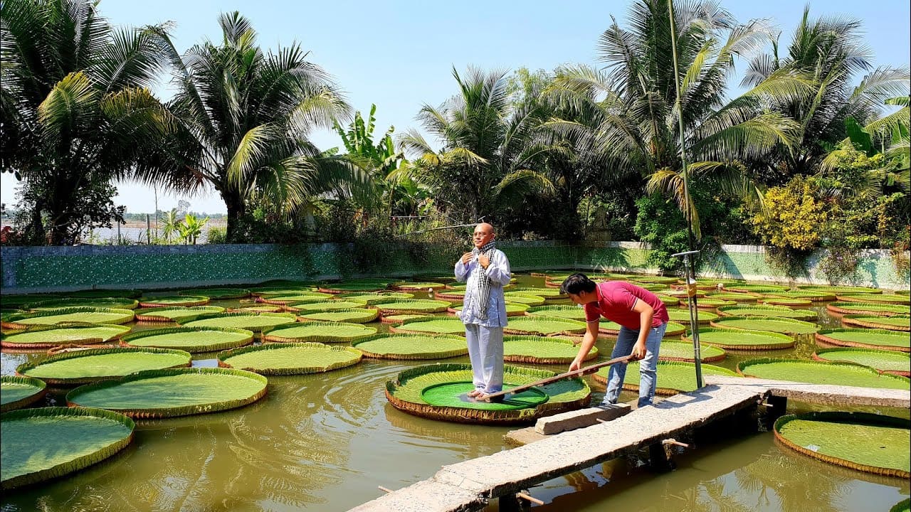 địa điểm du lịch ở đồng tháp