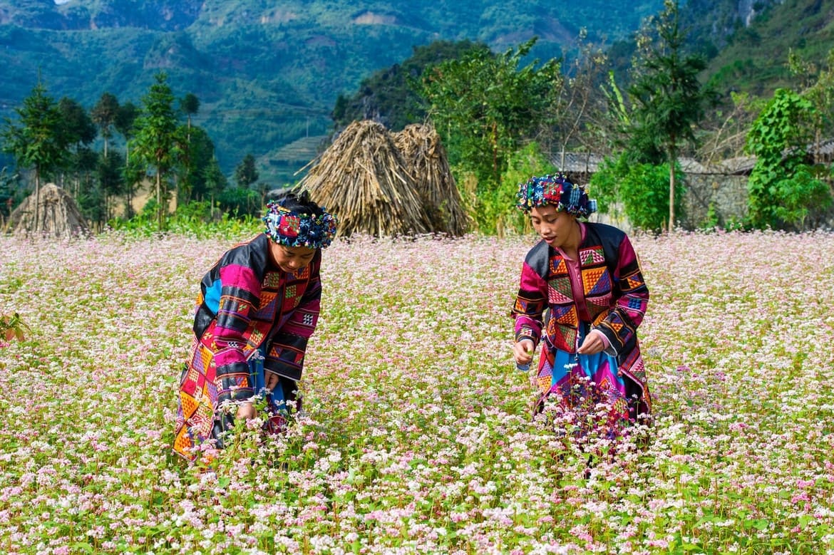 địa điểm du lịch vào tháng 1