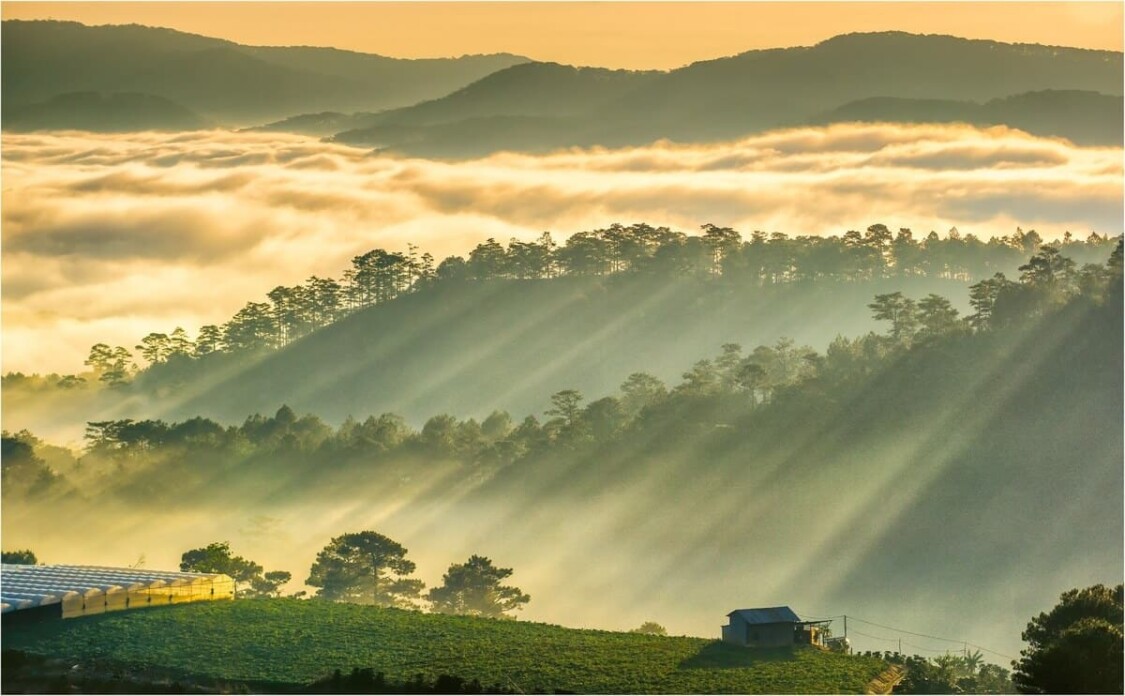  Địa điểm vui chơi gần ga tàu Đà Lạt