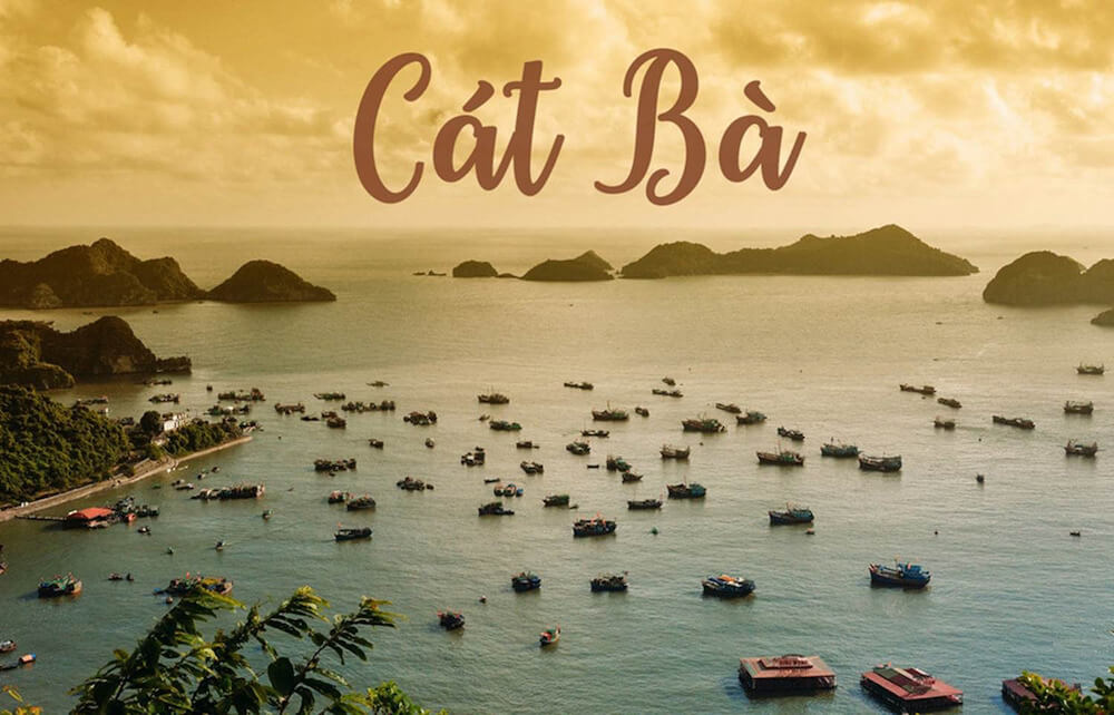 Bờ biển đảo Cát Bà