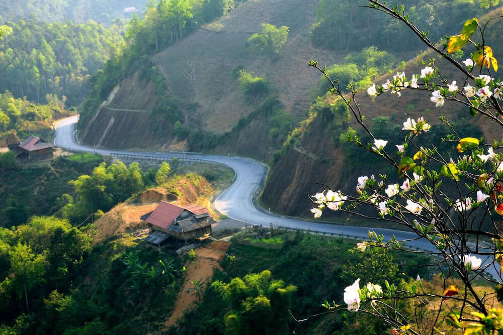 Cung đường đèo thơ mộng tại Điện Biên