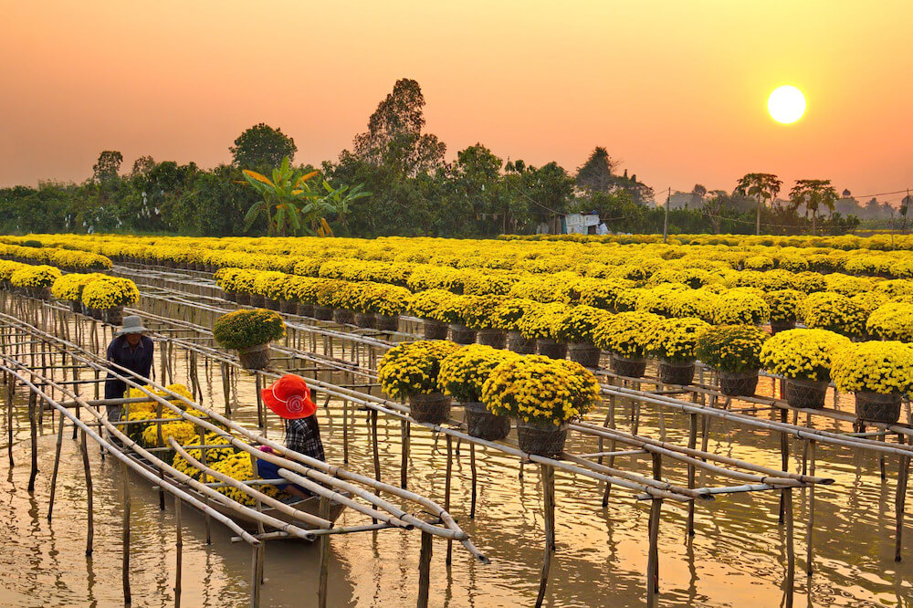 Đồng Tháp nổi tiếng với khung cảnh làng quê bình yên, cảnh quan thiên nhiên tuyệt đẹp