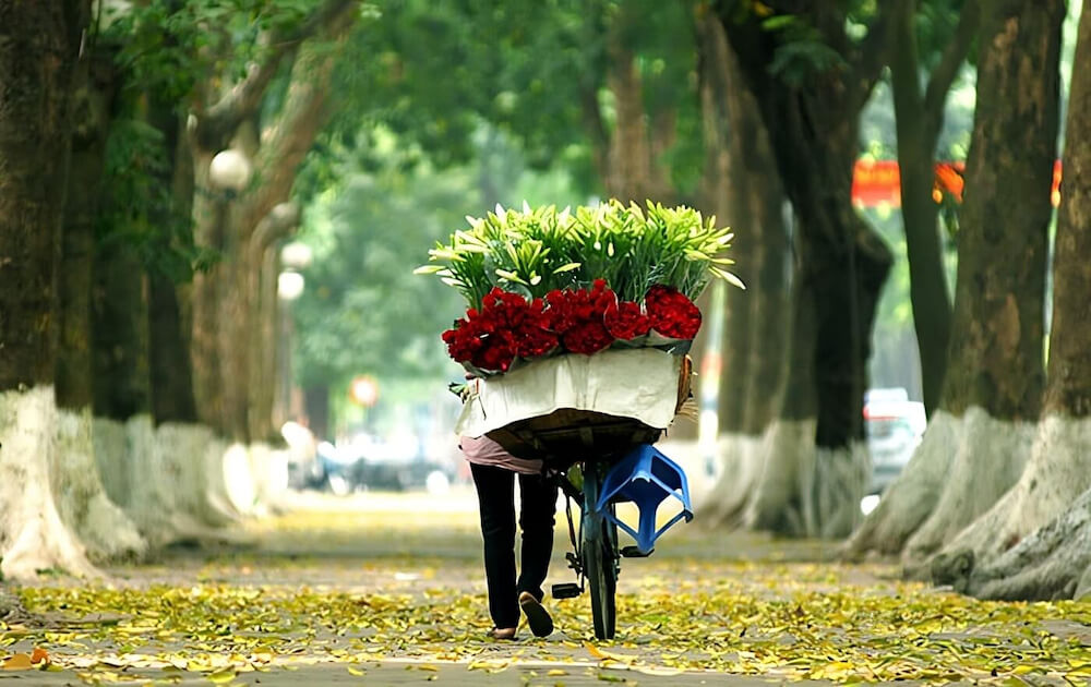 Hà Nội tháng 4 đang độ xuân vừa qua, tiết trời cũng dần chuyển sang chớm hạ