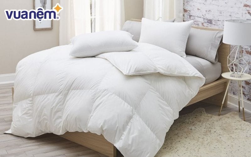 Giải đáp: Chăn lông vũ có nóng không?