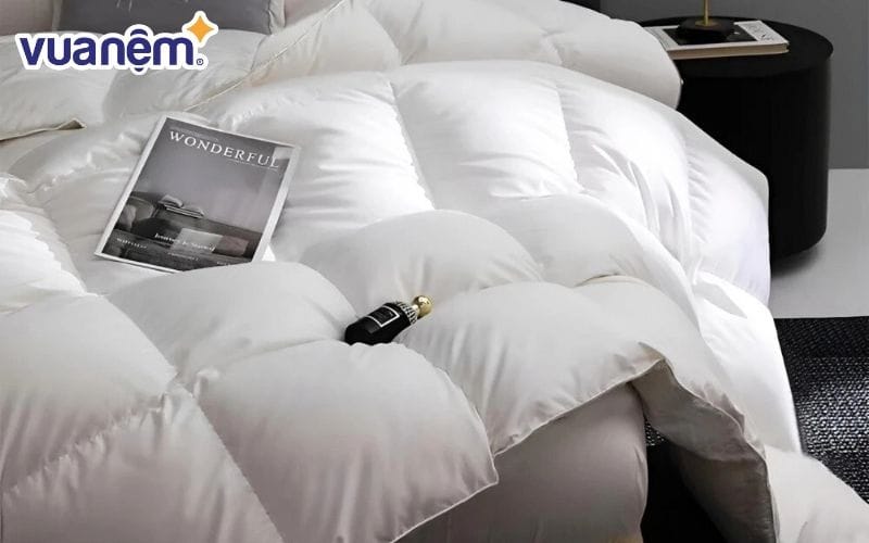 Lựa chọn chăn có công suất làm đầy cao