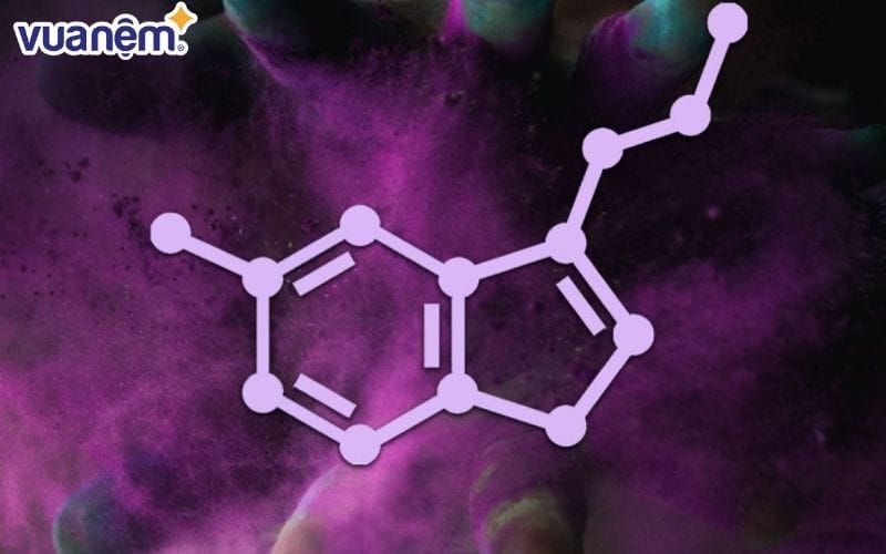 Mối liên hệ mật thiết giữa Serotonin và giấc ngủ