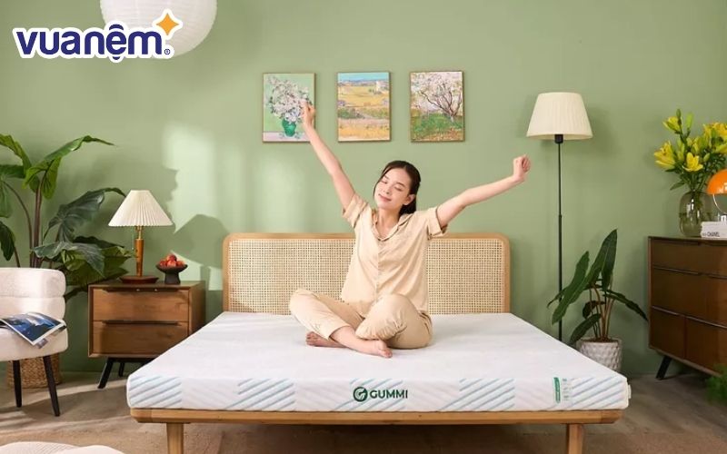 Nệm cao su Gummi Premium
