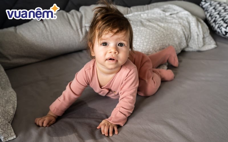 Nệm lò xo bị mốc do nước tiểu của trẻ nhỏ, thú cưng