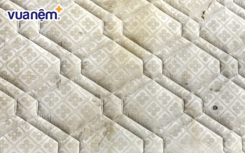 Thời tiết nồm ẩm khiến nệm dễ bị mốc