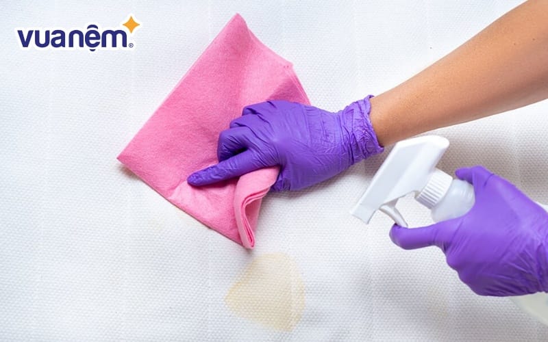 Các chất tẩy rửa chuyên dụng thích hợp sử dụng khi nệm lò xo bị mốc nặng