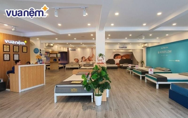 Mua đệm lò xo cao cấp nhập khẩu tại Vua Nệm