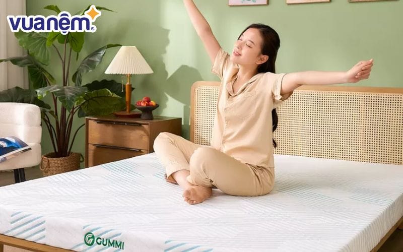 Nệm cao su thiên nhiên Gummi Signature