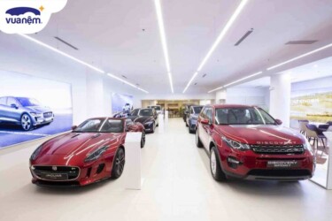 showroom ô tô Bà Rịa Vũng Tàu