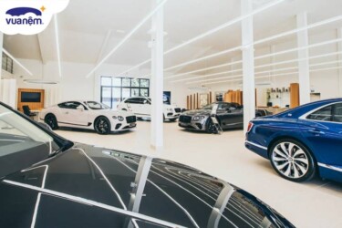 showroom ô tô Thanh Hóa