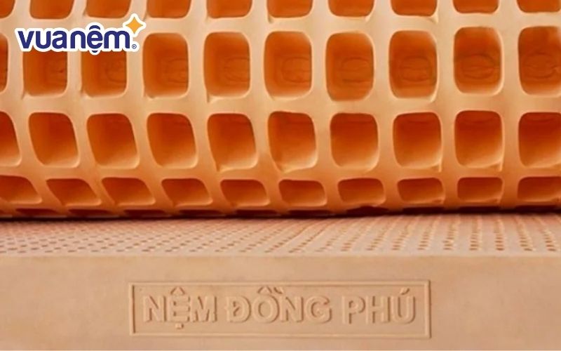 Thương hiệu nệm Đồng Phú