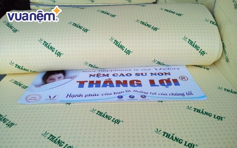 Thương hiệu nệm Thắng Lợi