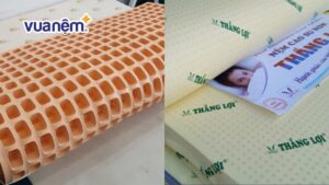 So sánh nệm Đồng Phú và nệm Thắng Lợi chi tiết nhất