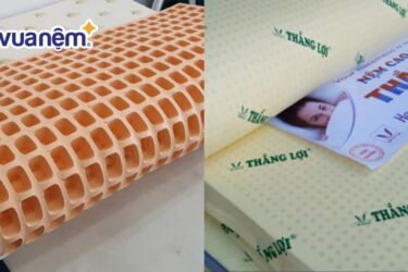 so sánh nệm đồng phú và nệm thắng lợi